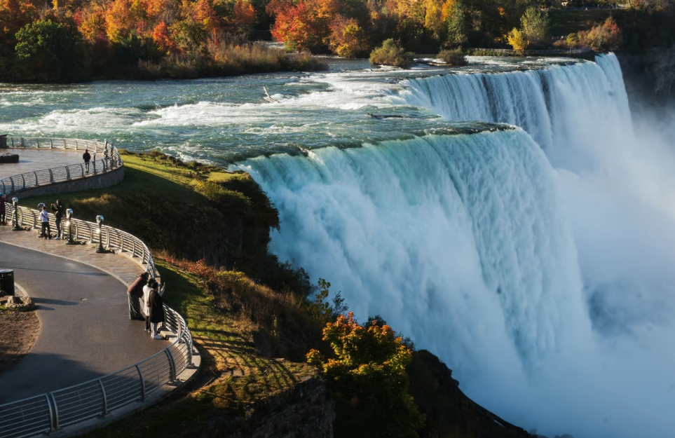 Screenshot 2026-03-03 202123